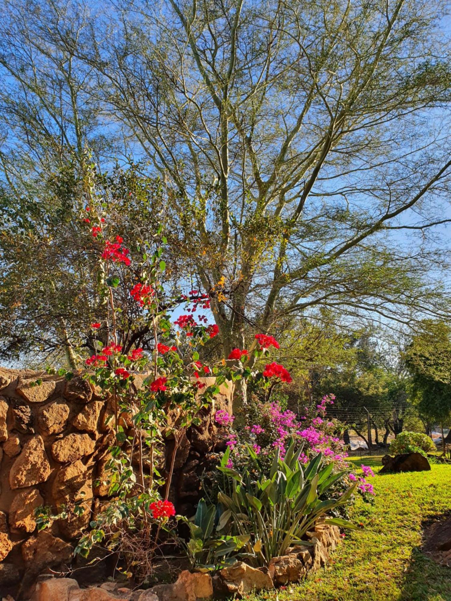 Hasekamp Family Bush Lodge 侯斯普瑞特 外观 照片