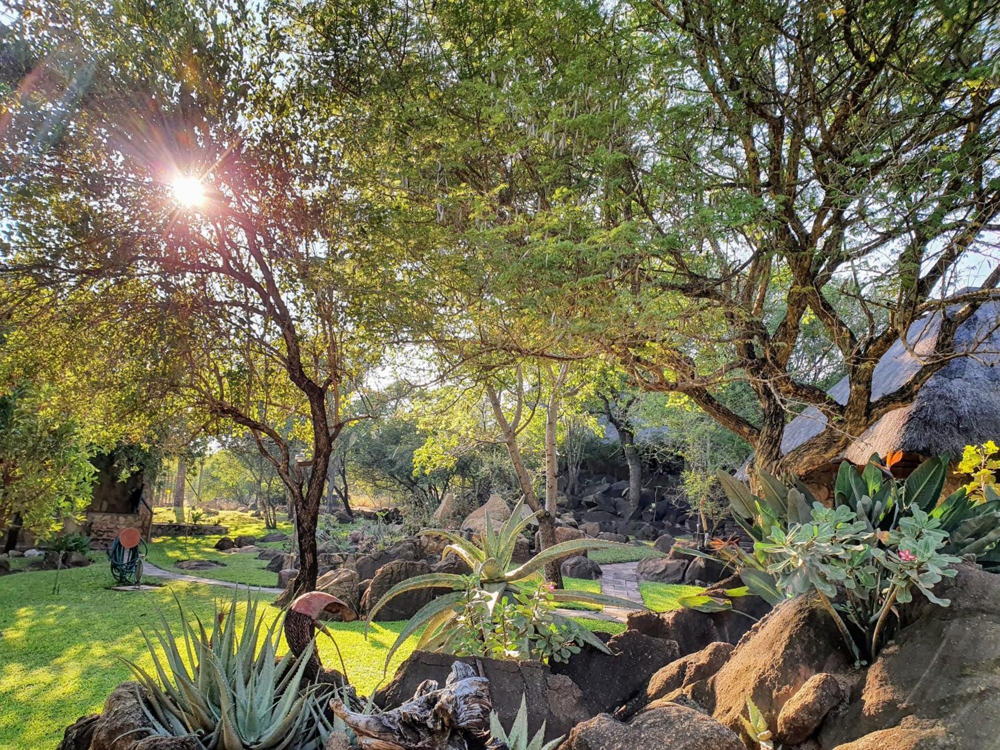 Hasekamp Family Bush Lodge 侯斯普瑞特 外观 照片