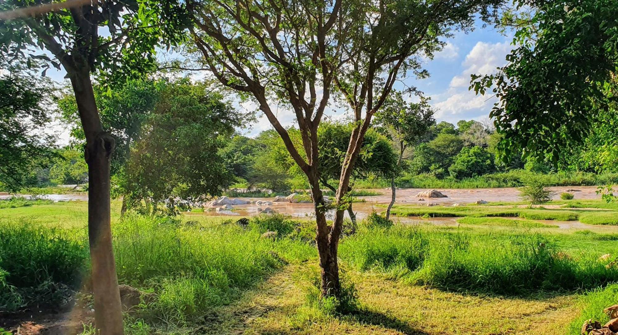 Hasekamp Family Bush Lodge 侯斯普瑞特 外观 照片